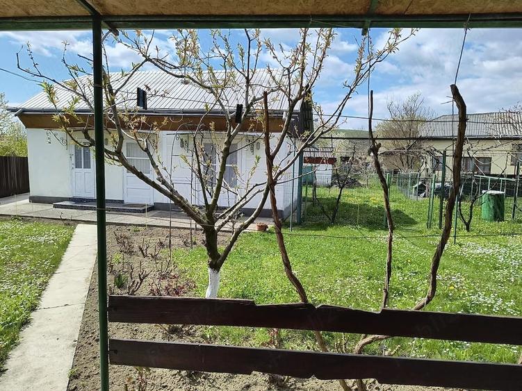 Casă cu 3 camere cu Teren 2700 Mp în Central