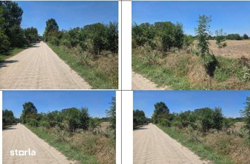 Teren de 1500 mp, în Bârla
