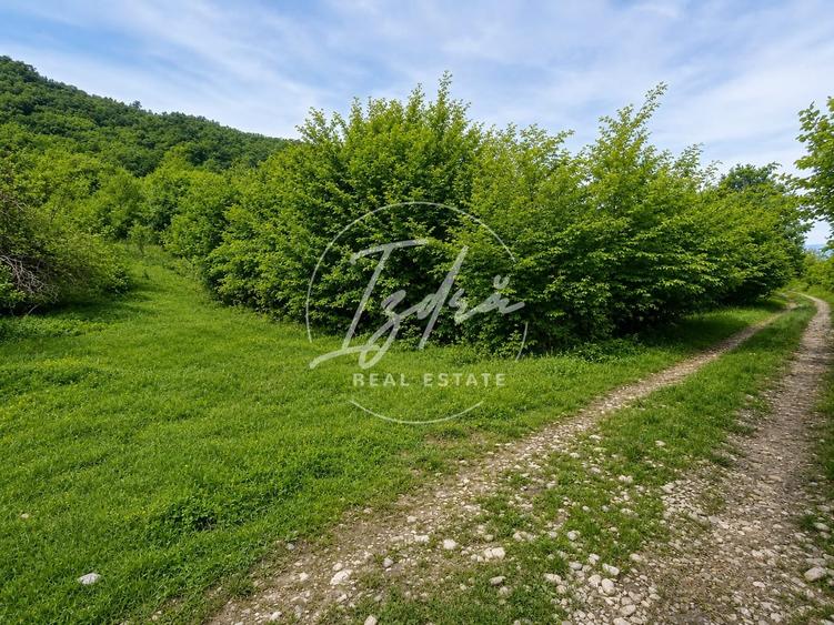 Teren agricol extravilan de 5967 mp, în Tălmaciu