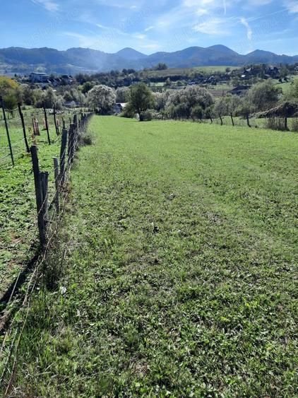 Teren de 2100 mp, în Sud