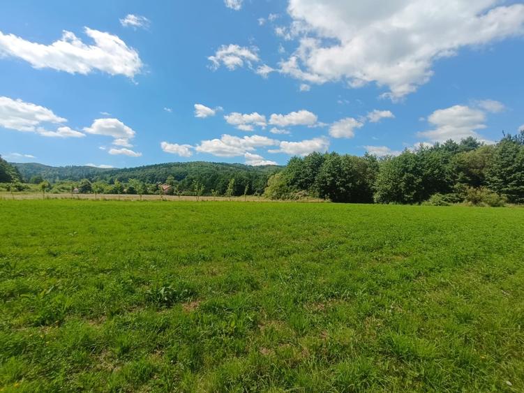 Teren extravilan de 3291 mp, în Vulcan