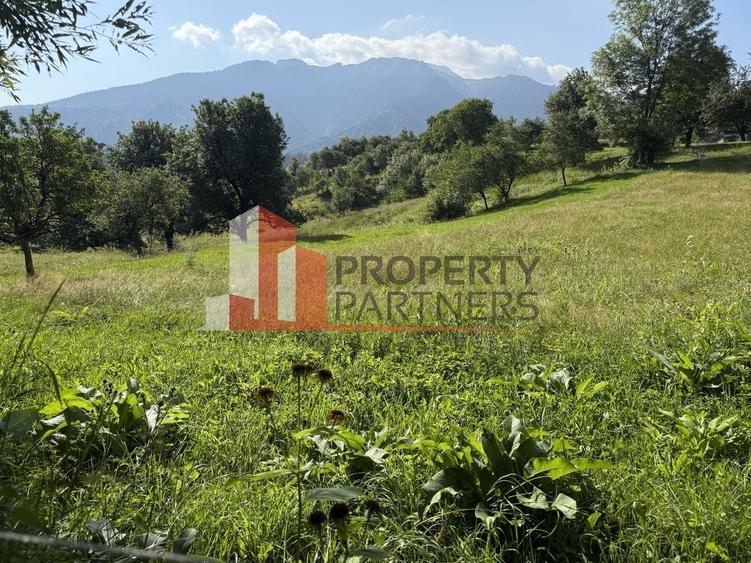 Teren Construcții intravilan de 5075 mp, în Bran