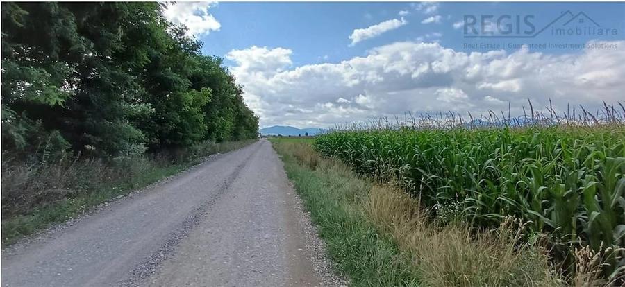 Teren de 39600 mp, în Prejmer