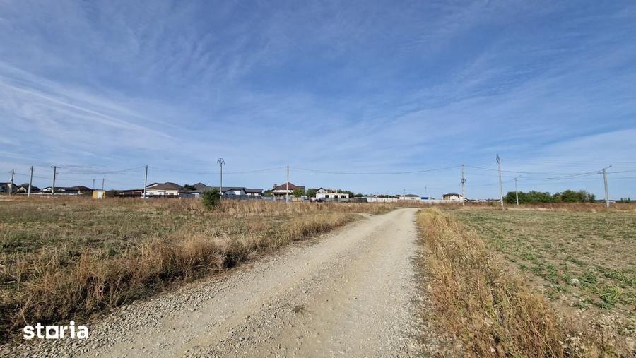 Teren de 35000 mp, în 1 Decembrie