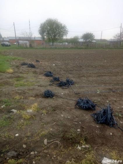 Teren de 2000 mp, în Dorobanți