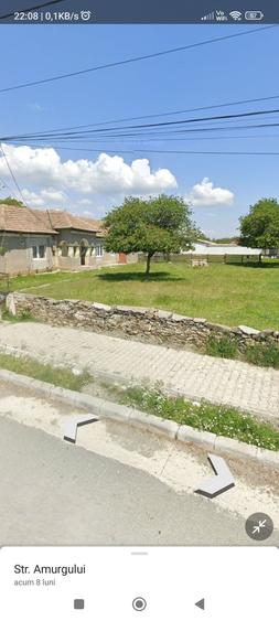 Casă cu 5 camere cu Teren 2000 Mp în Cogealac