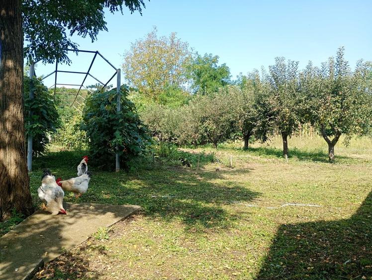 Casă cu 2 camere în Gura Vitioarei