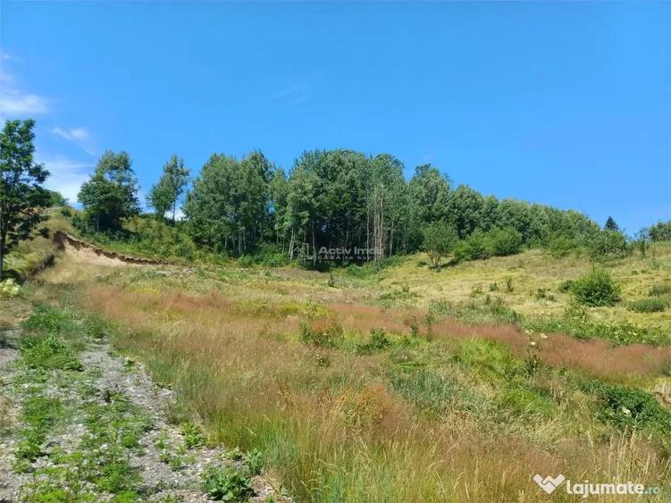Teren de 4500 mp, în Brebu