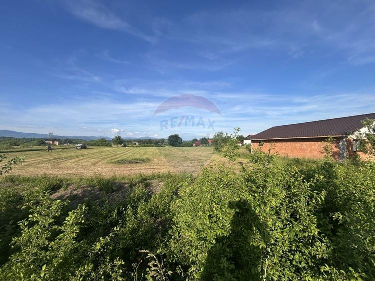 Teren Construcții intravilan de 6200 mp, în Coltău