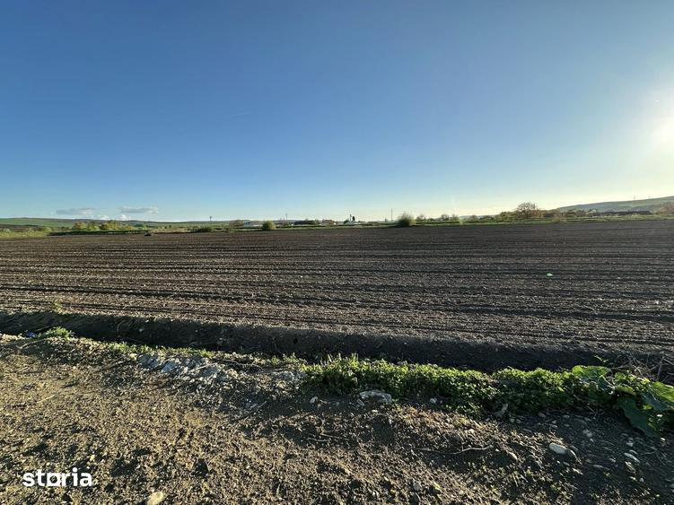 Teren de 10000 mp, în Târnăveni