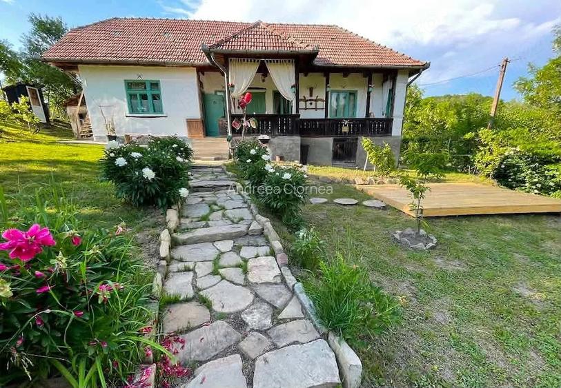 Proprietate cu poten?ial turistic reziden?ial: casa + 5.032 mp teren Puini, comuna Geaca, jud.