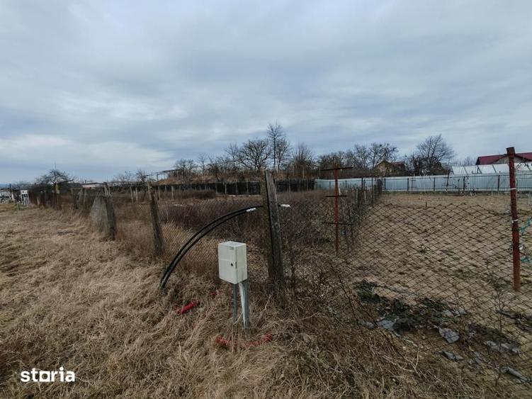 Teren de 1660 mp, în Letea Veche