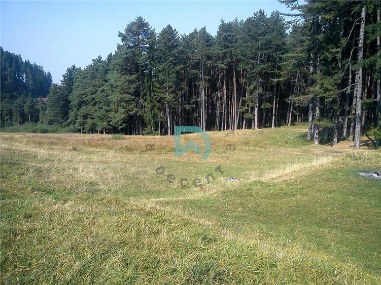 Teren Construcții intravilan de 1500 mp, în Poiana Angelescu