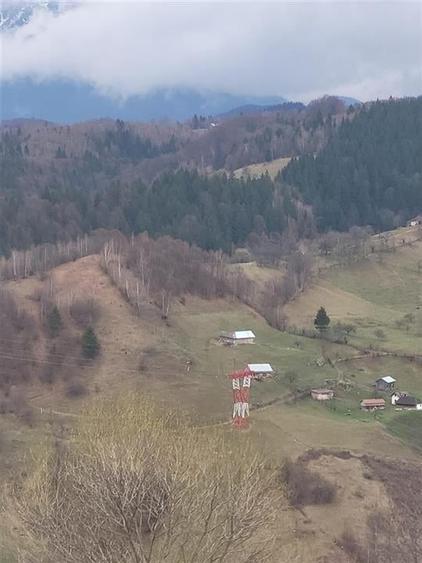 Teren Construcții intravilan de 8800 mp, în Cheia
