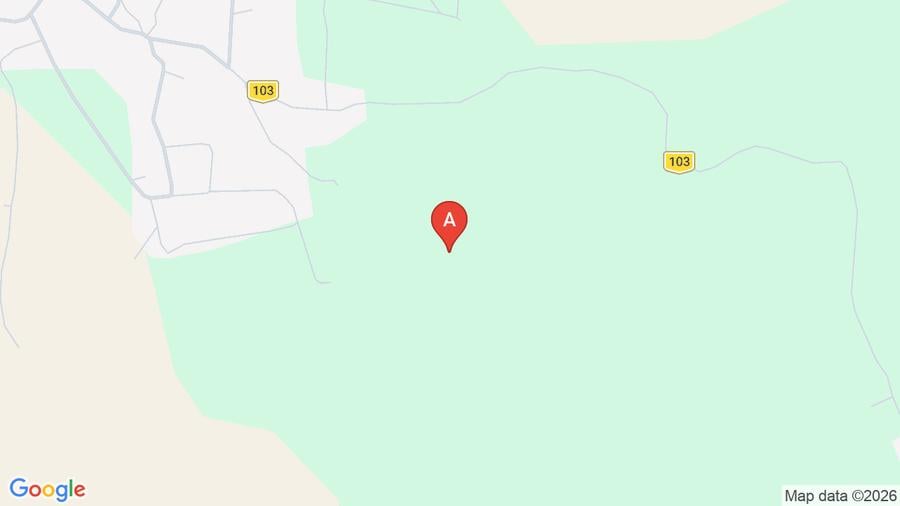 Vanzare urgenta teren arabil cultivat - 1
