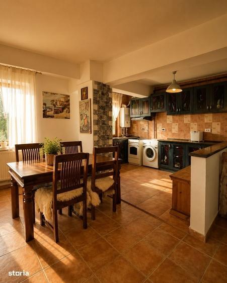 Apartament 2 camere de inchiriat Parcul Tineretului | Vila noua - 10