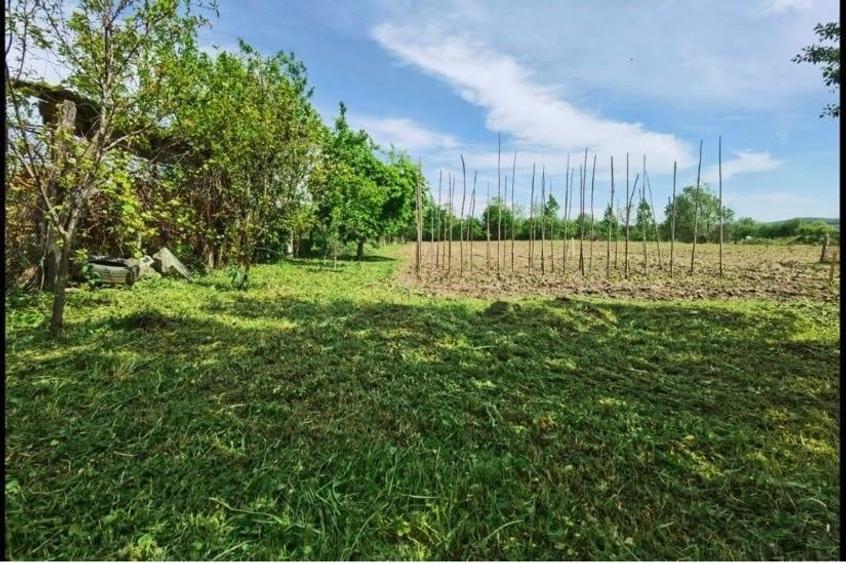 Casă individuală cu 4 camere cu Canalizare în Exterior Sud