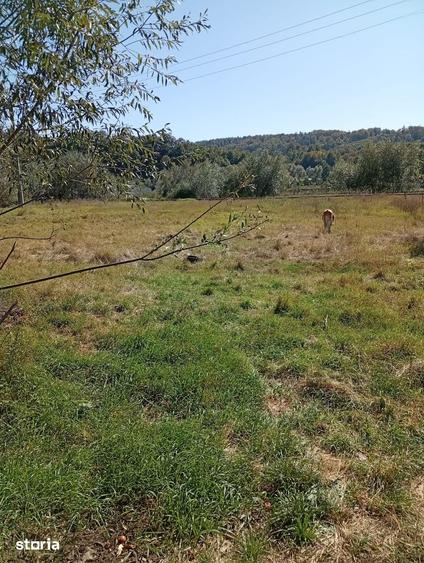 Casă cu 5 camere cu Teren 5500 Mp în Central