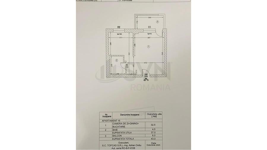 Apartament cu 2 camere semidecomandat în Pipera