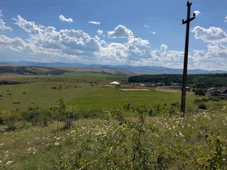 Teren de 3600 mp, în Ciurila