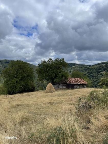 Vand teren, casa si grajd lemn Damis - 1
