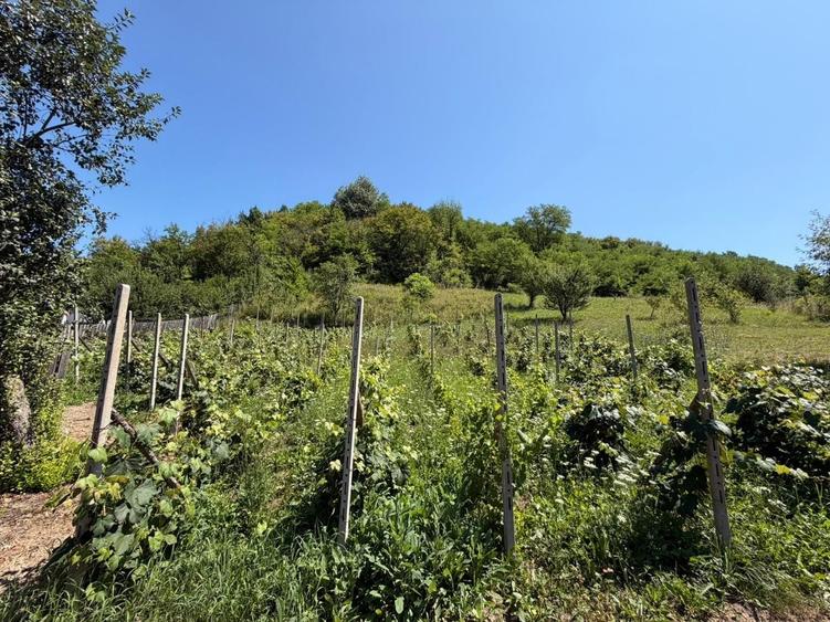 Casă individuală cu 3 camere cu Canalizare în Sănduleni