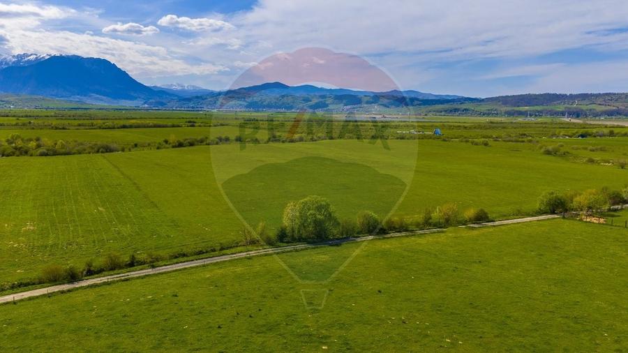 Teren agricol extravilan de 3000 mp, în Pănicel