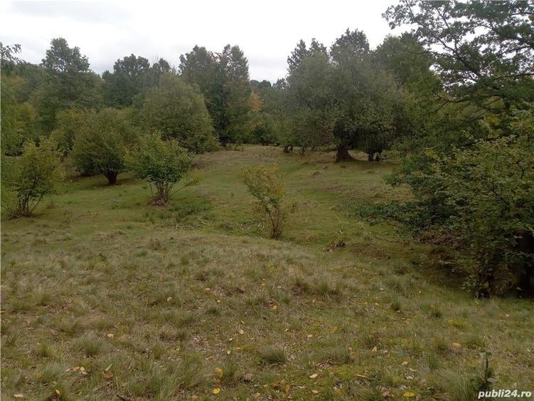 Teren de 16800 mp, în Central