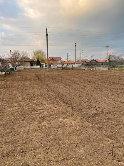 Teren de 2000 mp, în Poiana