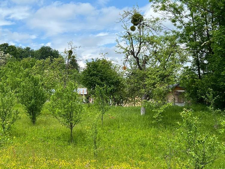Teren Construcții intravilan de 4200 mp, în Ocina de Sus