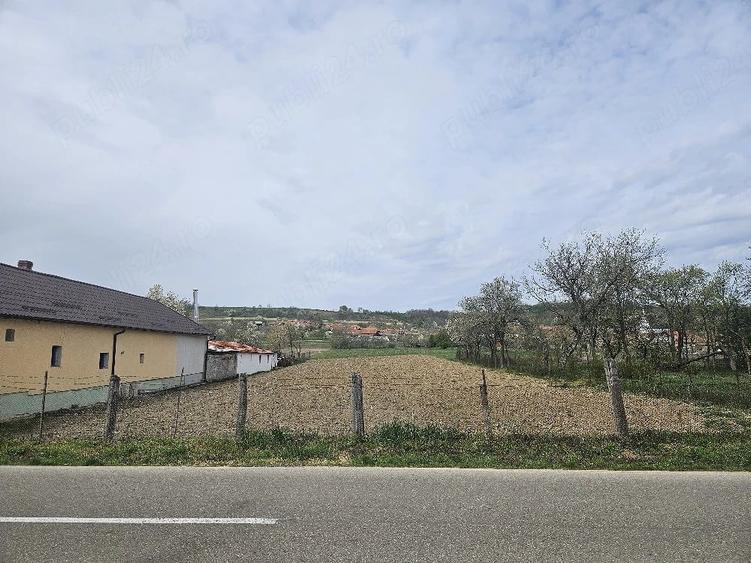 Teren de 2200 mp, în Petrani