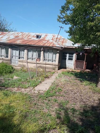 Casă cu 3 camere cu Teren 2588 Mp în Suhaia