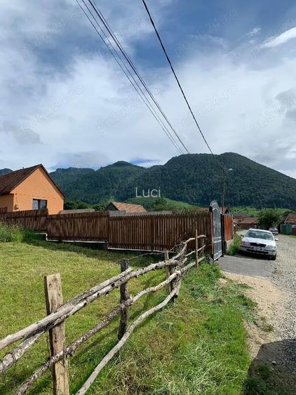 Teren Zona Grui Zarne?ti