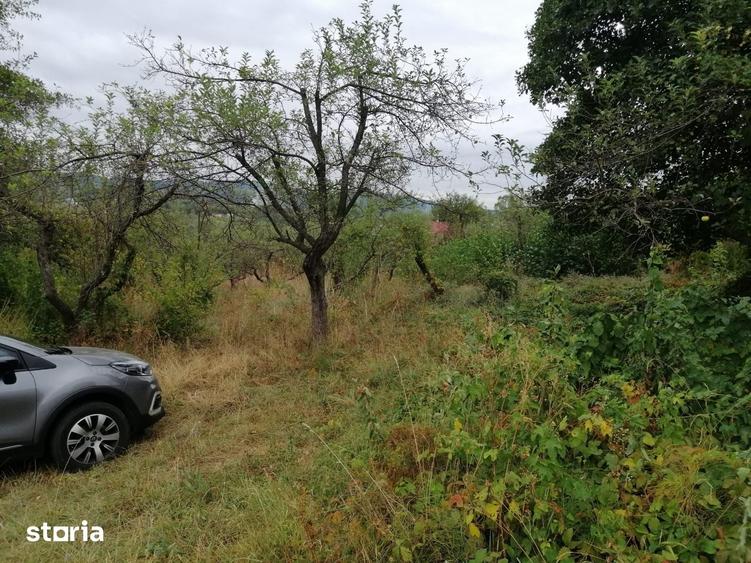 Teren de 720 mp, în Vlădești
