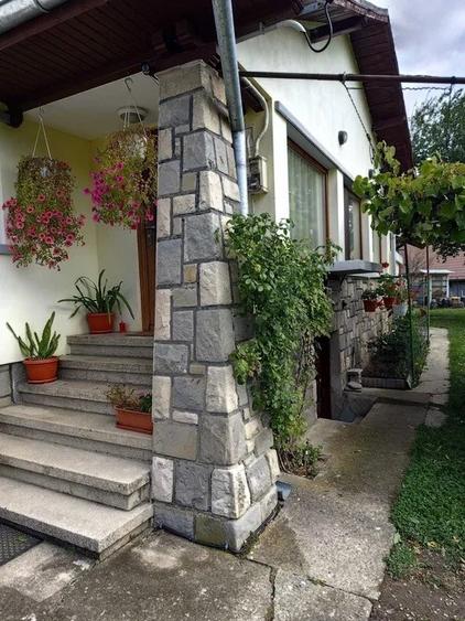 Casă individuală cu 4 camere cu Teren 1500 Mp în Lunca Mare