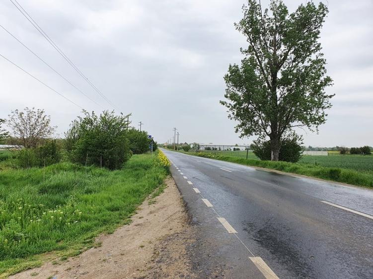 Teren agricol extravilan de 2672 mp, în Vidra