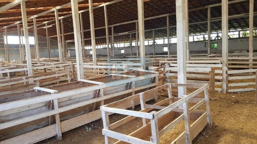 Casă cu 3 camere cu Teren 24281 Mp în Ciortea
