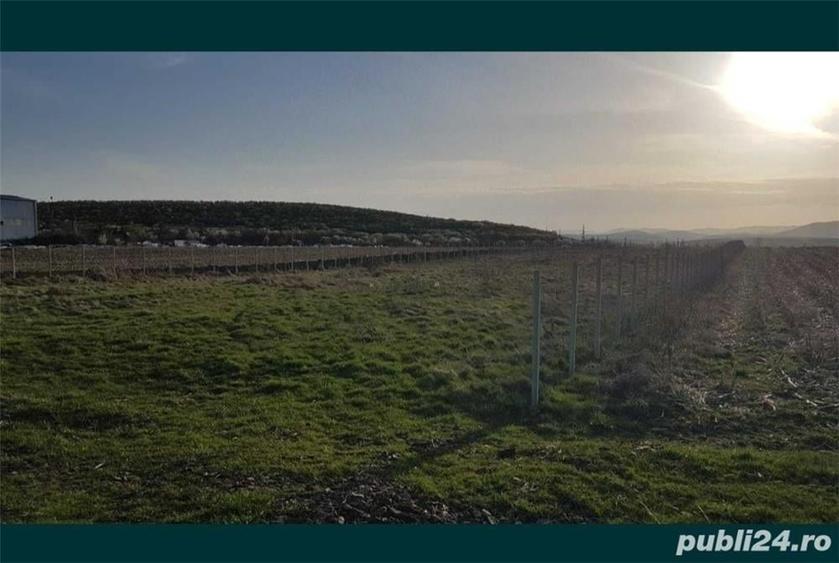 Teren de 7200 mp, în Central