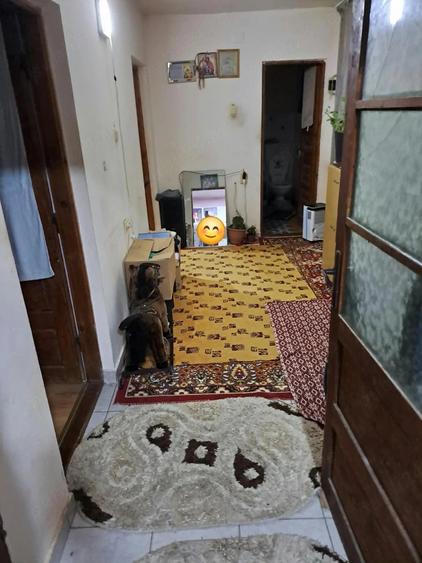 Casă cu Teren 607 Mp în Limanu
