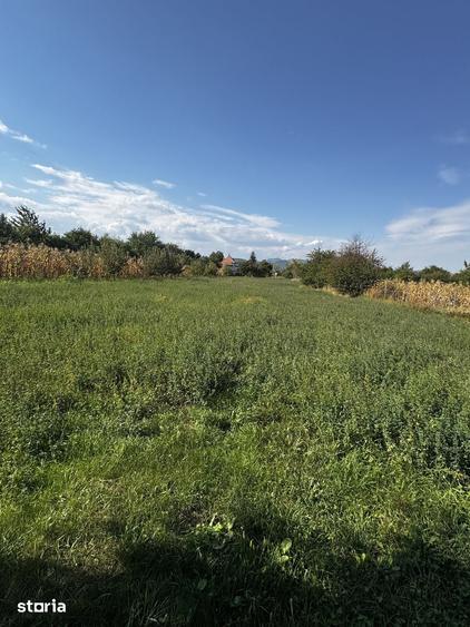Teren de 3600 mp, în Pârgărești