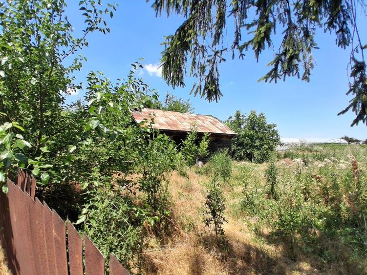 Teren Construcții intravilan de 3524 mp, în Sintești