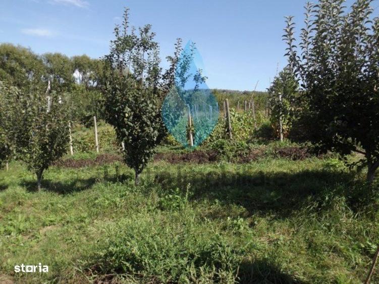Teren de 3240 mp, în Bârnova