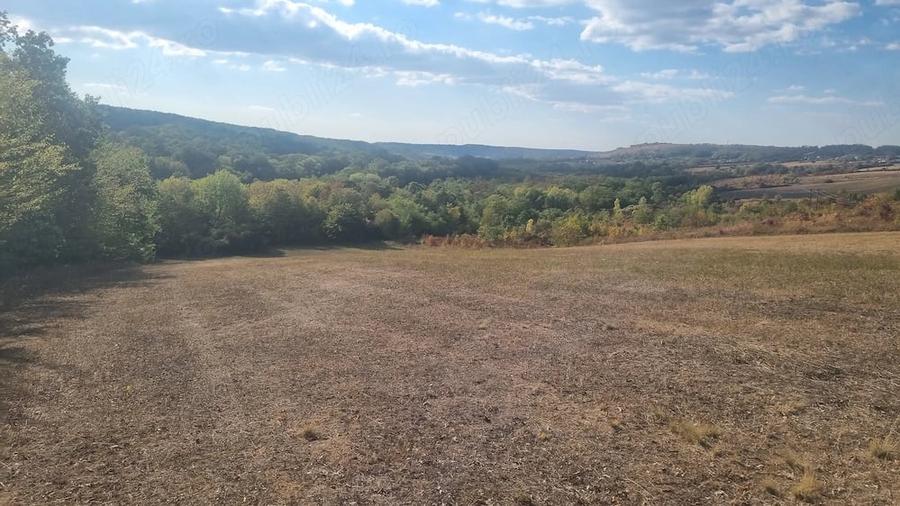 Teren de 10600 mp, în Central