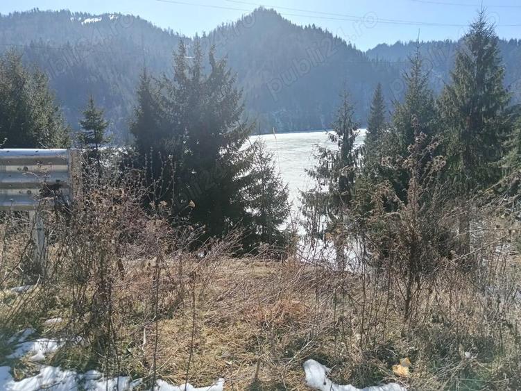 Teren de 1000 mp, în Colibița