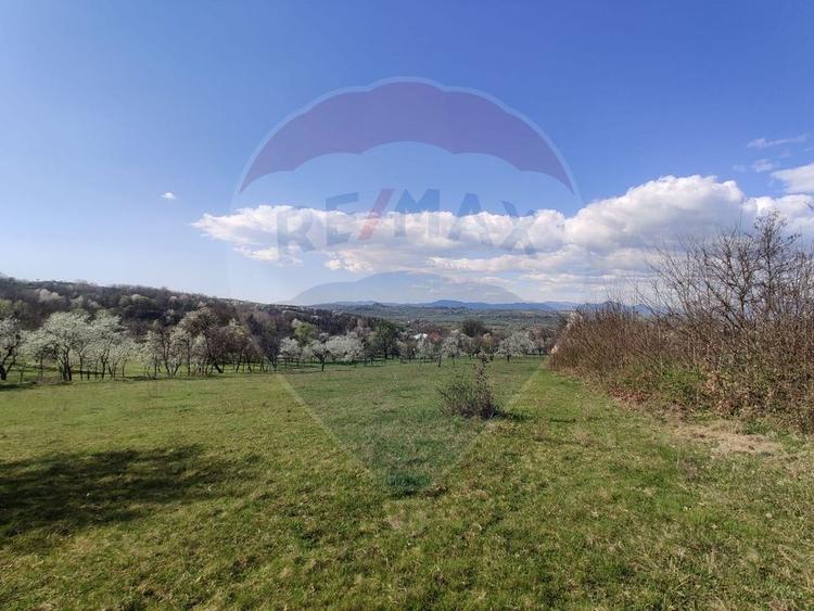 Teren Construcții intravilan de 2671 mp, în Cărbunari