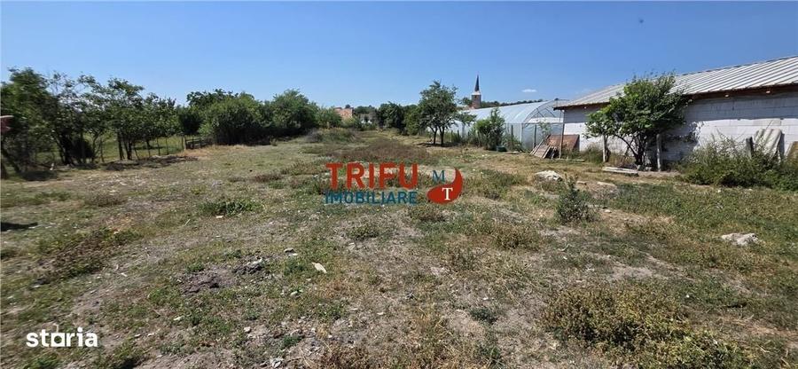 Casă cu 3 camere în Cricău