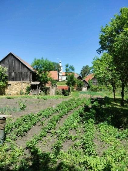 Casă cu 4 camere cu Teren 2418 Mp în Dumbrava