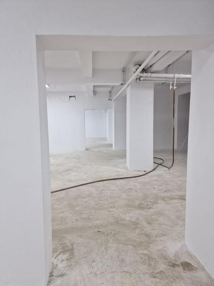 Spațiu comercial, de 360 mp, în Cișmigiu