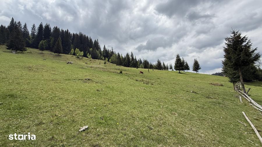 Teren de 16230 mp, în Fundu Moldovei