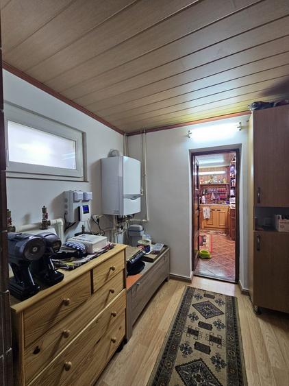 Casa Bacia, judet Hunedoara - 19